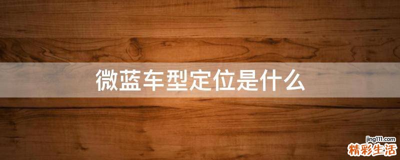 微蓝车型定位是什么
