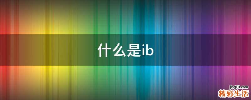 什么是ib