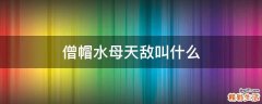 僧帽水母天敌叫什么