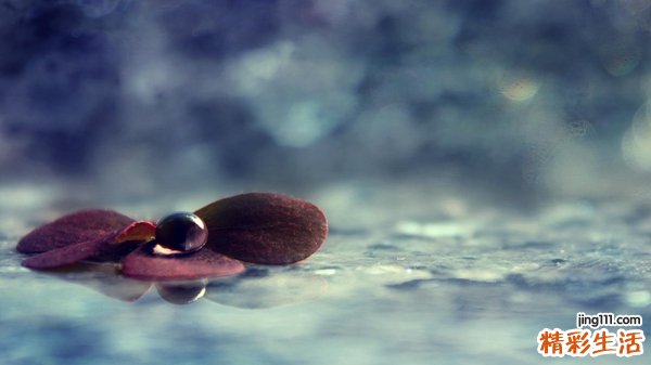 7 女性喜欢的“小弟弟”尺寸分布图