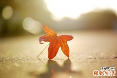 慢性萎缩性胃炎的分类