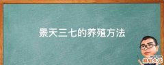 景天三七的养殖方法
