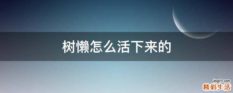 树懒怎么活下来的