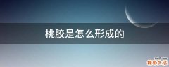 桃胶是怎么形成的