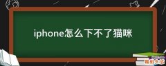 iphone怎么下不了猫咪