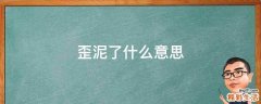 歪泥了什么意思