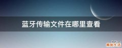 蓝牙传输文件在哪里查看