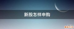 新股怎样申购