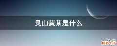 灵山黄茶是什么