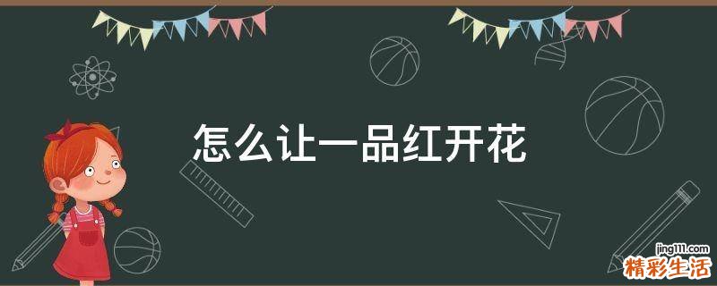 怎么让一品红开花