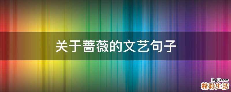关于蔷薇的文艺句子