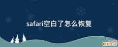 safari空白了怎么恢复