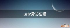 usb调试在哪