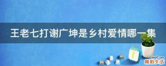 王老七打谢广坤是乡村爱情哪一集