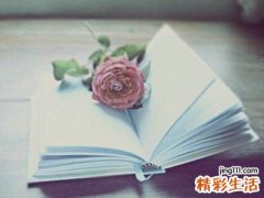 玉兰花的功效与作用