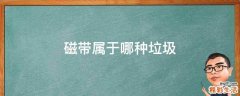 磁带属于哪种垃圾