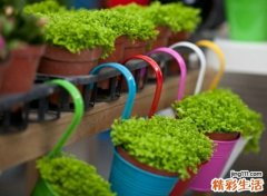 排卵期不排卵到底是什么原因