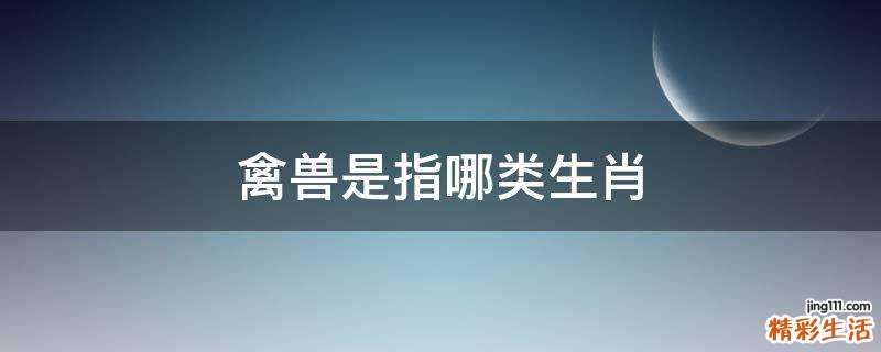 禽兽是指哪类生肖