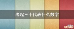 缘起三十代表什么数字