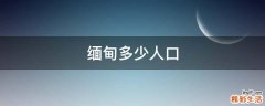 缅甸多少人口