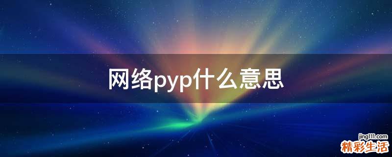 网络pyp什么意思