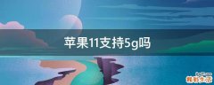 苹果11支持5g吗