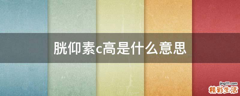 胱仰素c高是什么意思