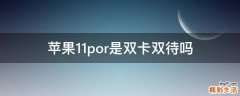 苹果11por是双卡双待吗