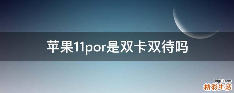 苹果11por是双卡双待吗