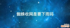 蜘蛛收网是要下雨吗