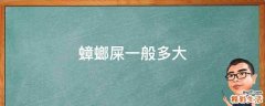 蟑螂屎一般多大