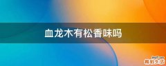 血龙木有松香味吗