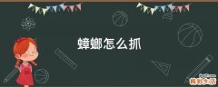 蟑螂怎么抓