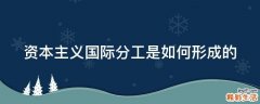 资本主义国际分工是如何形成的