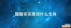 踏踏实实是说什么生肖
