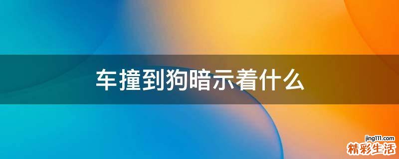 车撞到狗暗示着什么