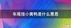 车尾挂小黄鸭是什么意思