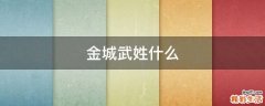 金城武姓什么