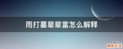 雨打墓辈辈富怎么解释