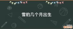 雪豹几个月出生