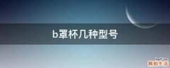 b罩杯几种型号