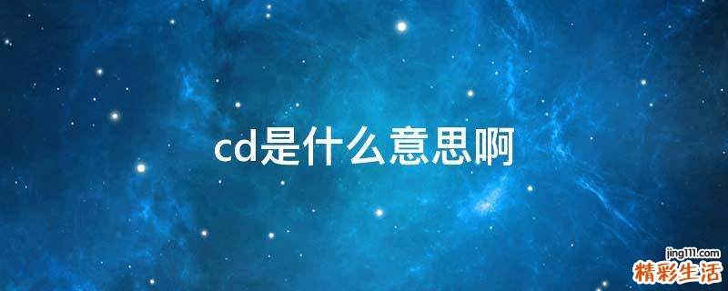 cd是什么意思啊