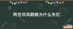 两世欢风眠晚为什么失忆