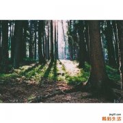 3 五色食物养五脏