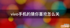 vivo手机的猜你喜欢怎么关