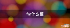 fm什么梗