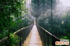 上班一族如何来养生？