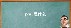 pm3是什么