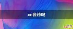 xo酱辣吗
