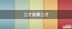 三才是哪三才